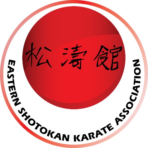 SEND - Martial Arts Fun with ESKA @ The Dojo - image 5