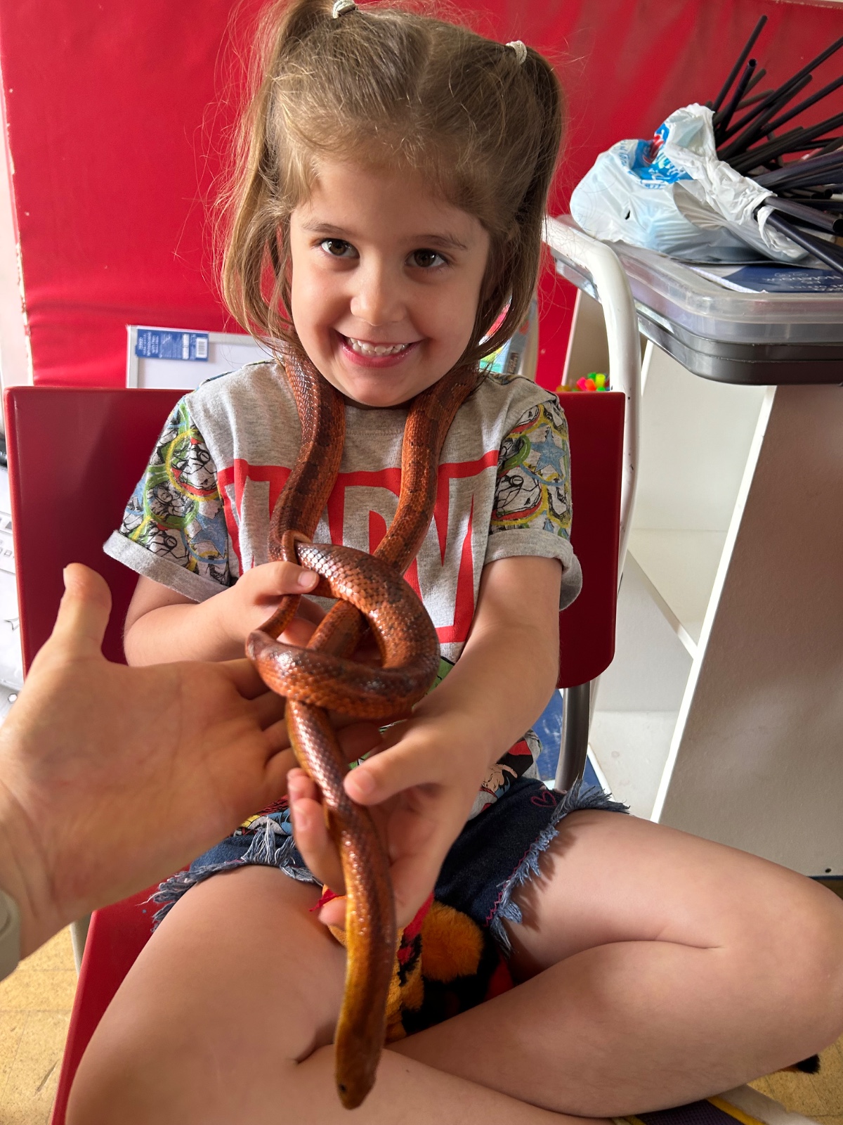 Sunflowers Holiday Club Worcester - image 3