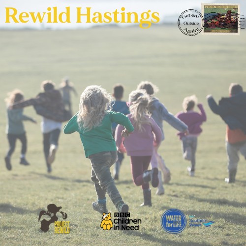 REWILD HASTINGS - EAST HILL block mentored by Project Rewild
