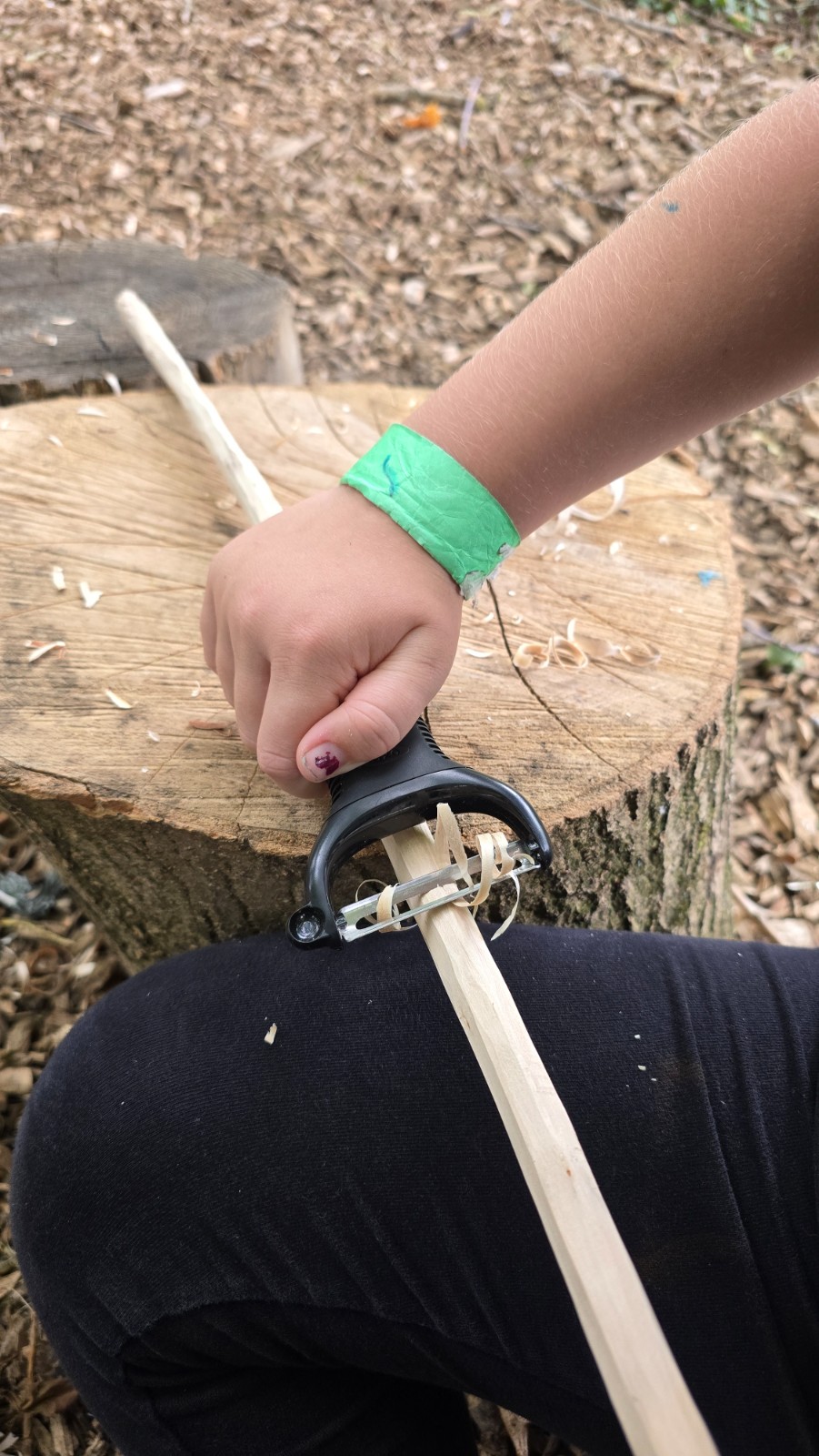 Friday Forest School block mentored by Leafy Legends Forest School