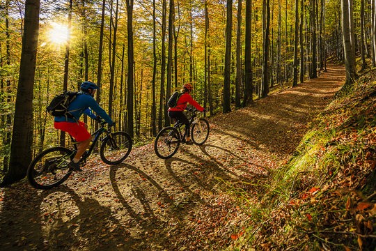 Motiv8 Havant HAF - Mountain Biking - image 2