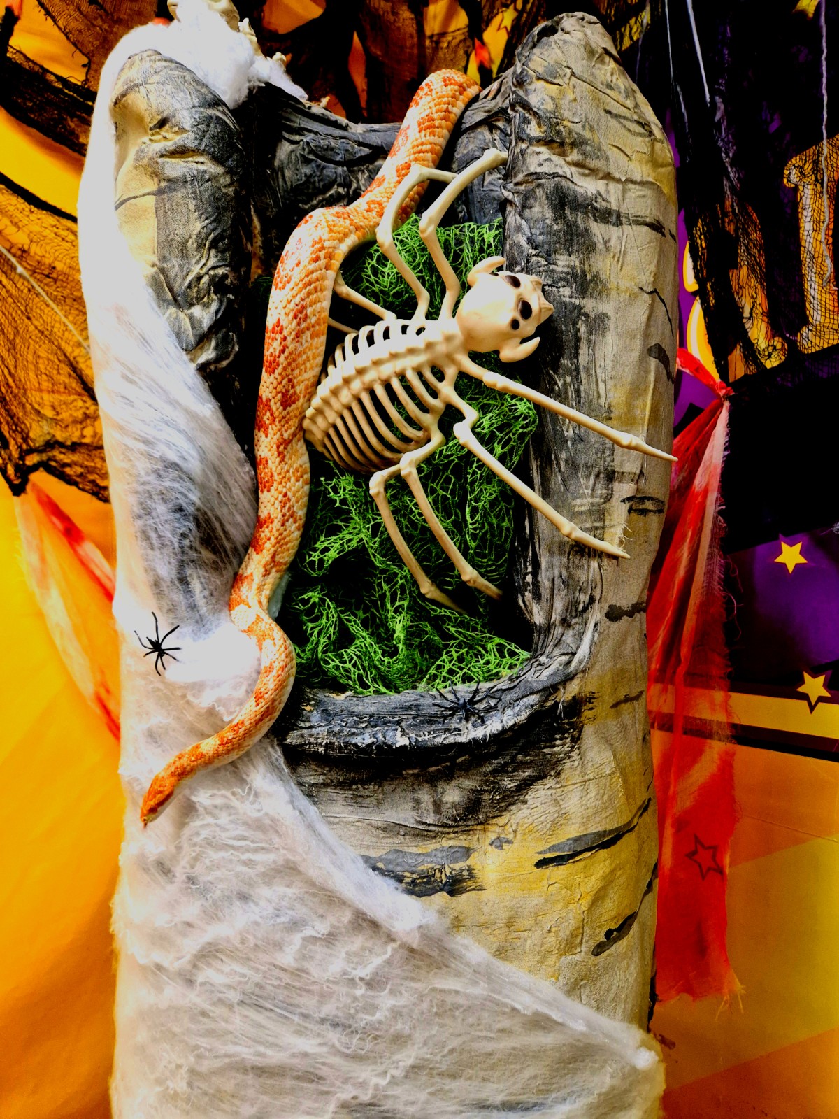 Zoe's Party Animals- Holiday club- Inc HAF - image 9