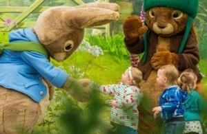 SEND Family Trip to Willows Activity Farm - image 5