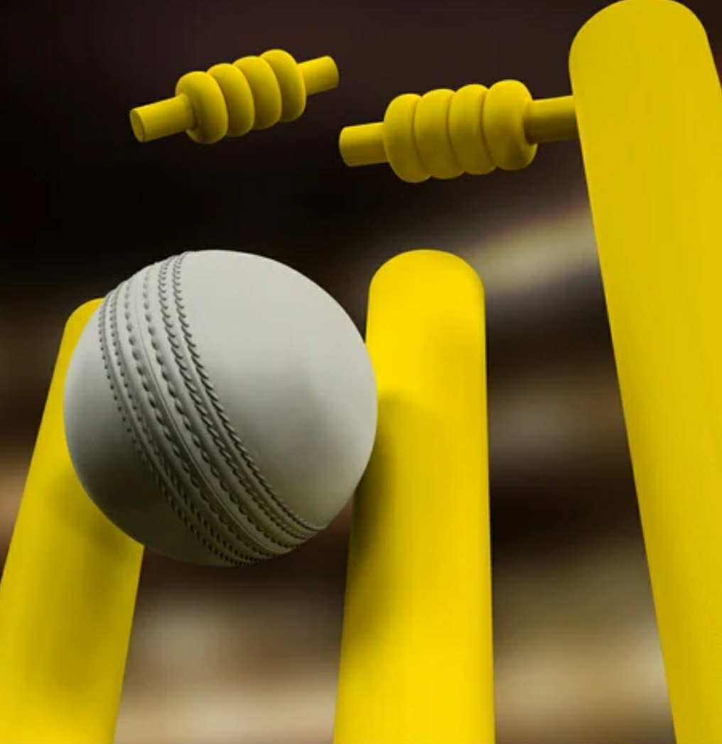 Millom Rec -Rugby, Cricket, Arts & Craft - image 3