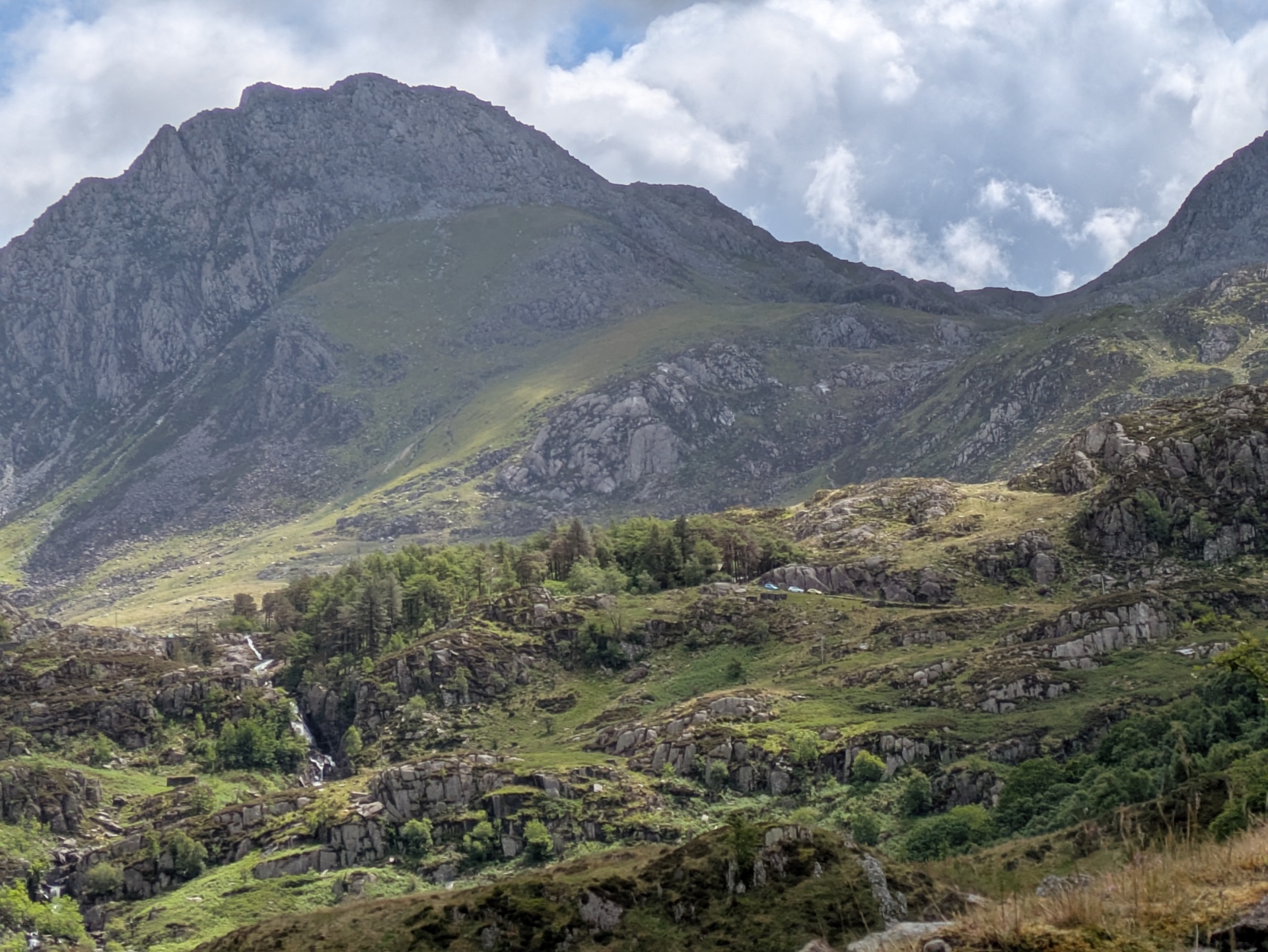 LHW Welsh 3000ers -minus the scary ones! - image 4