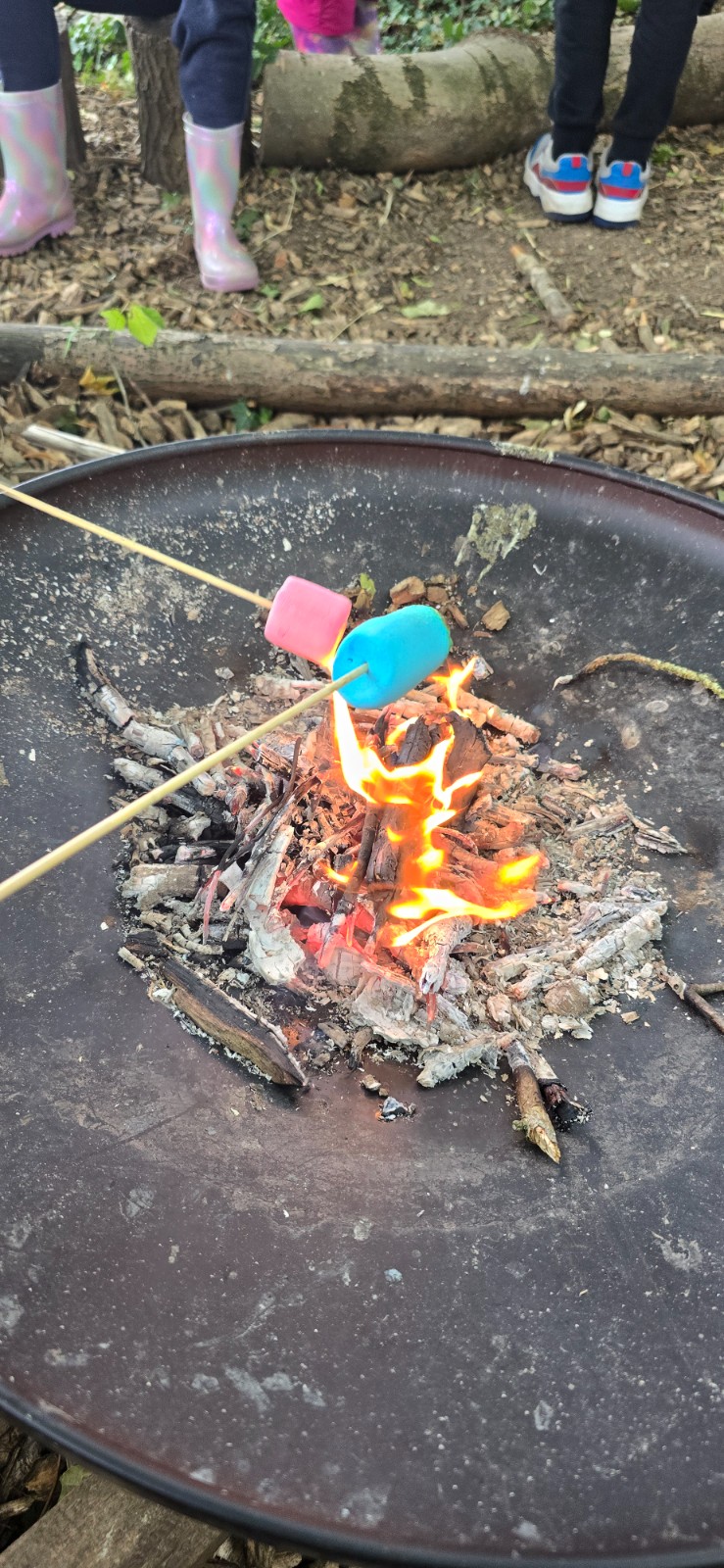 Friday Forest School - image 3