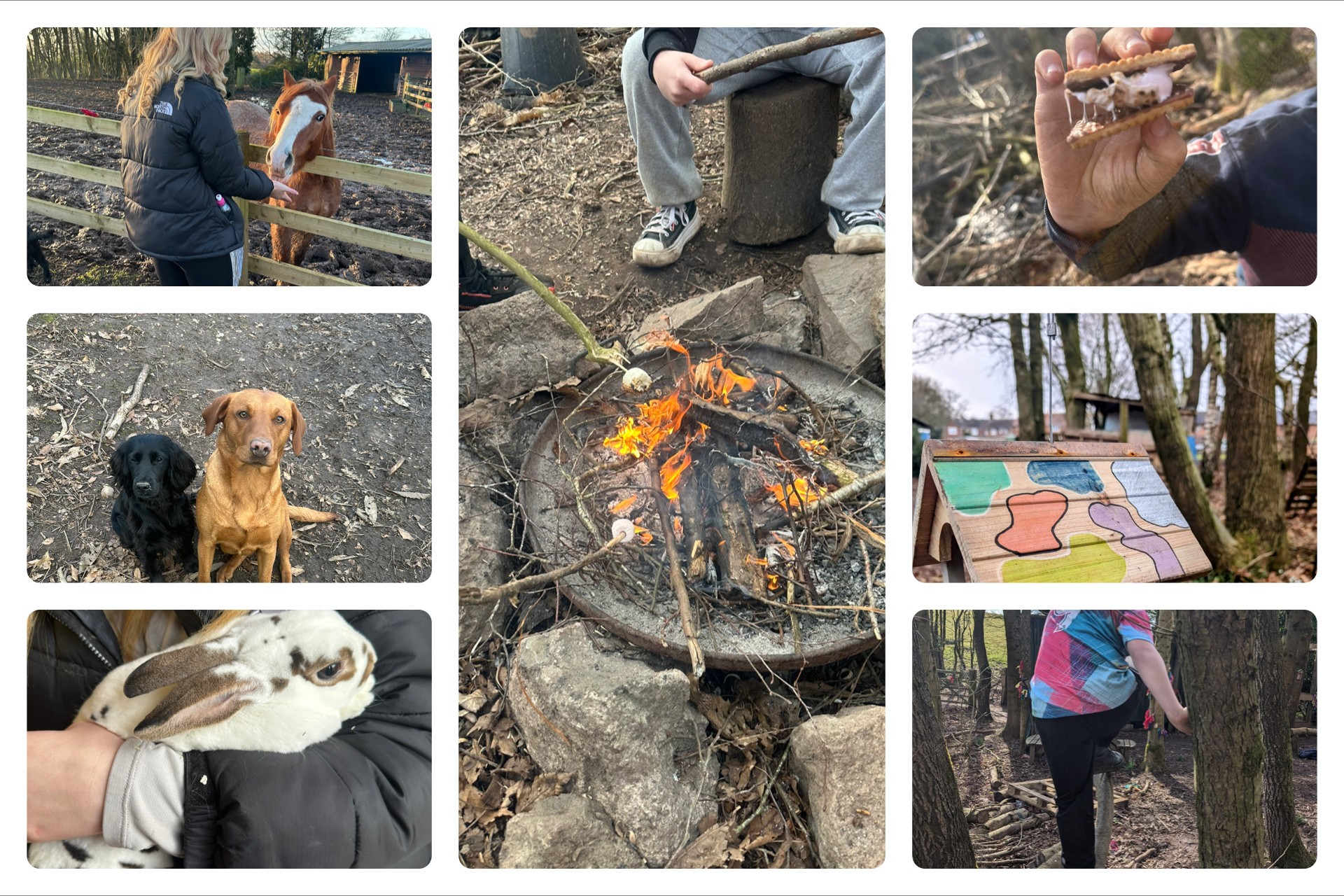 Furry Friends Therapy - SOT Winter Club block mentored by Furry Friends Therapy