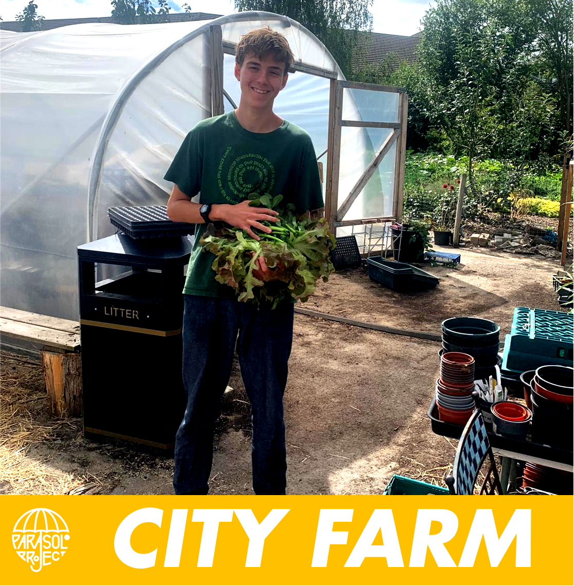 Parasol TEEN activities - City Farm block mentored by The Parasol Project