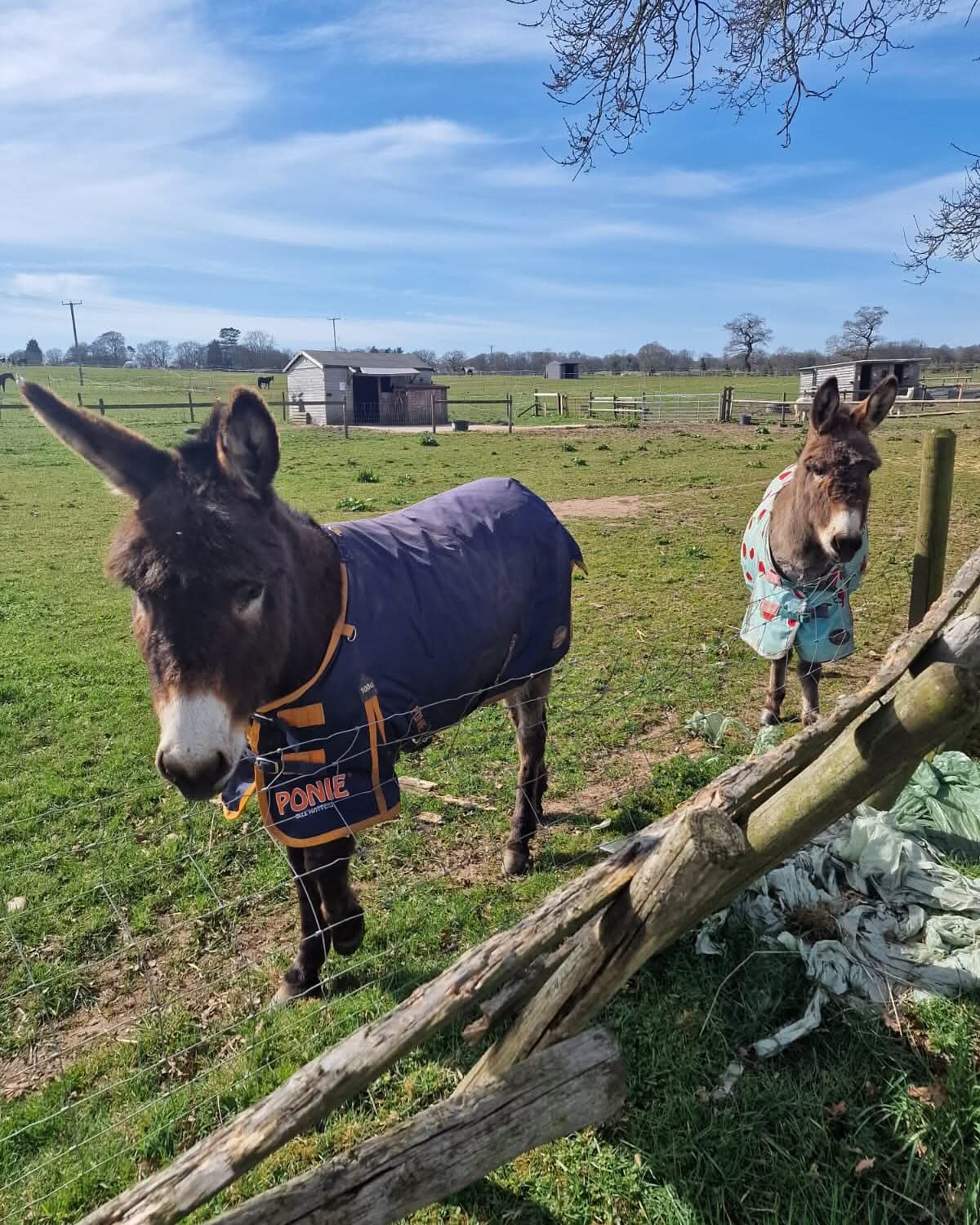 Aiming High SEND Holiday Wellies Club - image 10