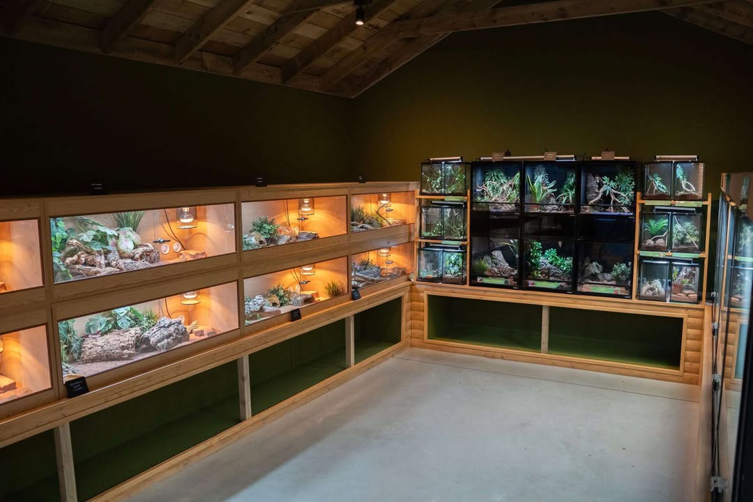 Wigton Family Hub - Trip to Walby - image 4