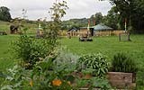 Growing Places at Little Acorns - image 2