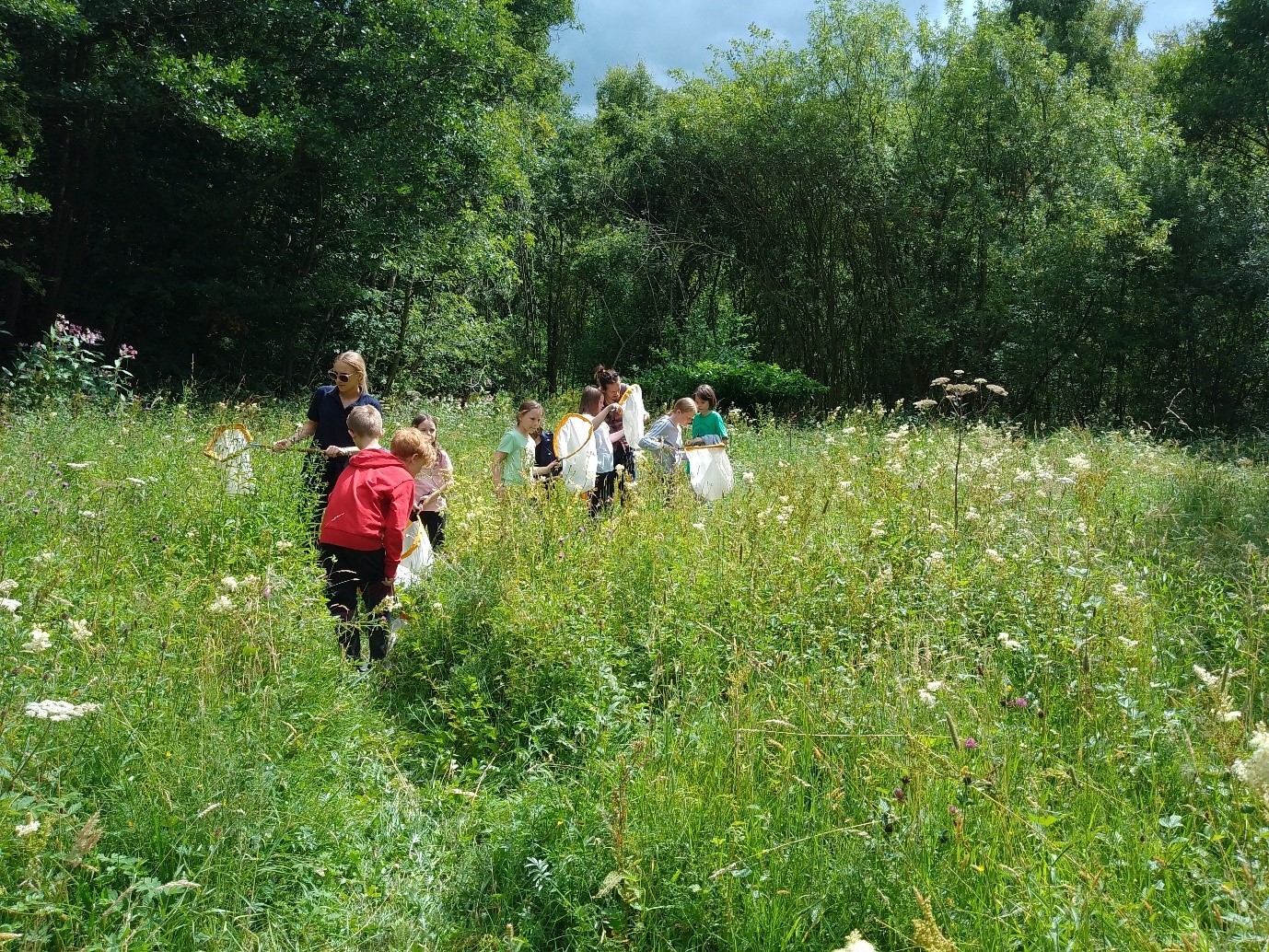 Durham Wildlife Trust Holiday Activities - image 4
