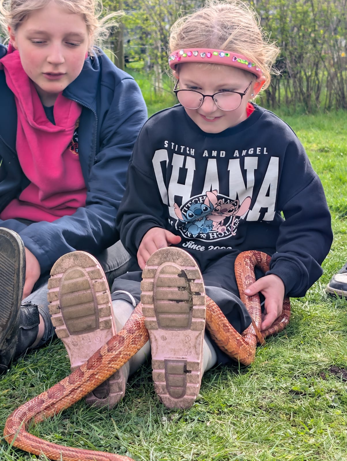 Zoe's Party Animals- Holiday club- Inc HAF - image 3