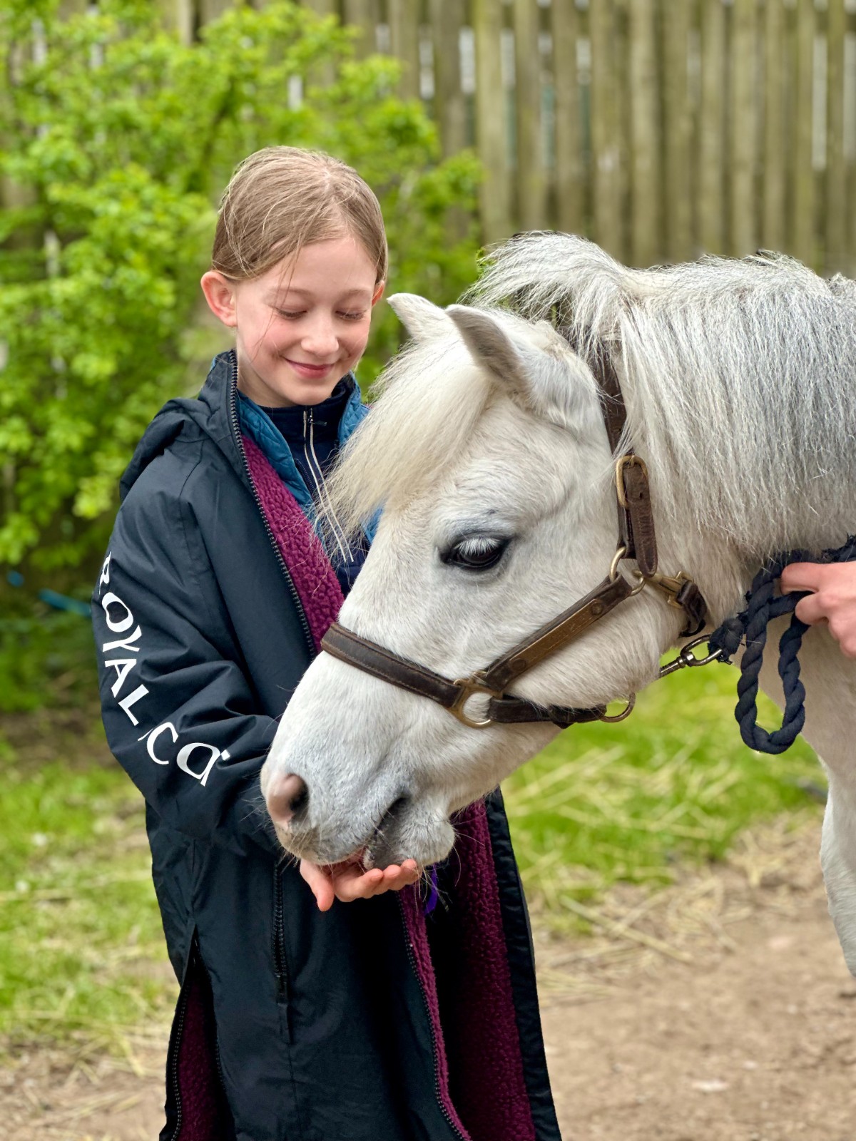 Secondary Horse & Pony Experience @HowdenEques - image 4
