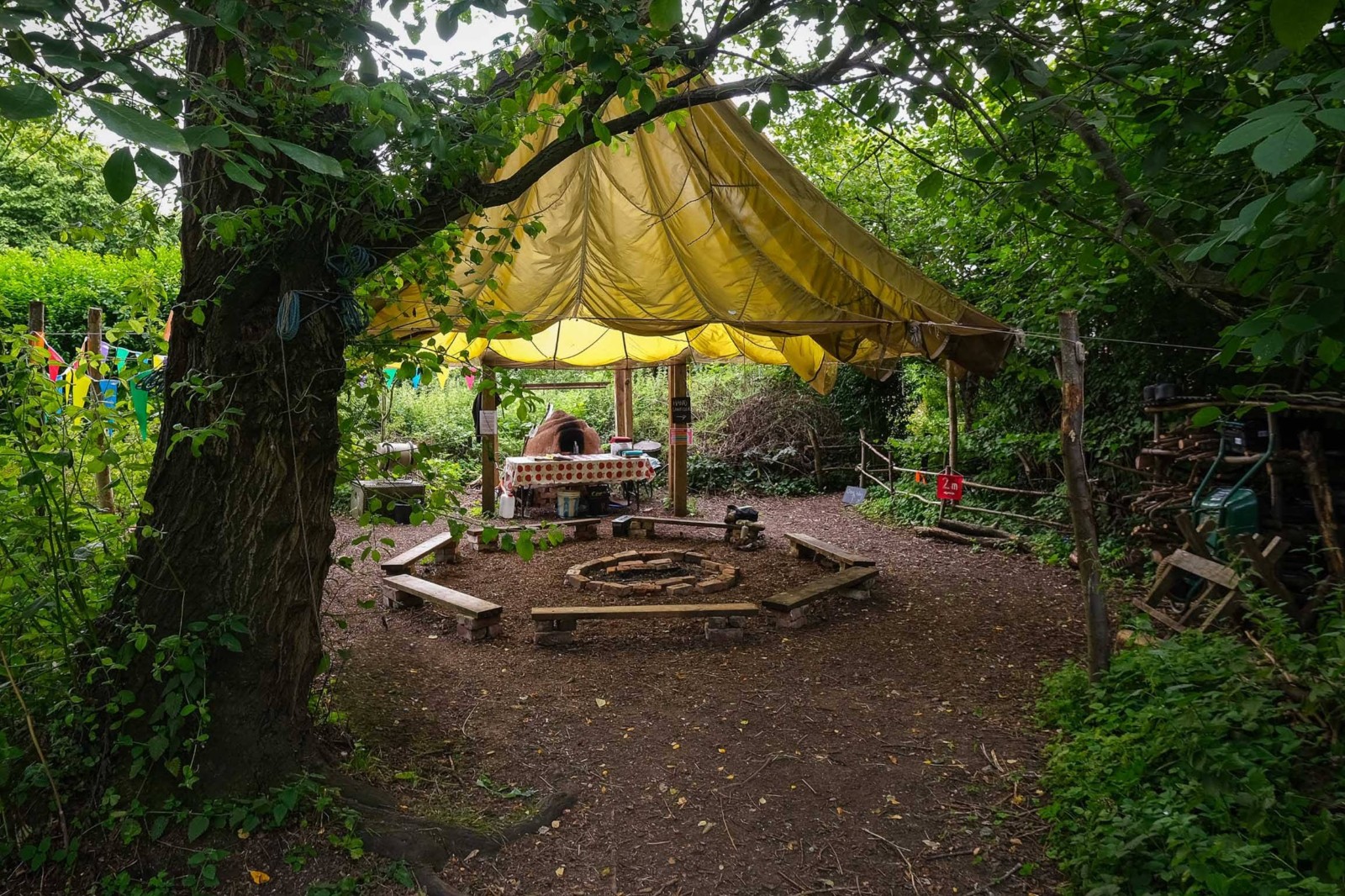 St Ann's Community Orchard - image 3