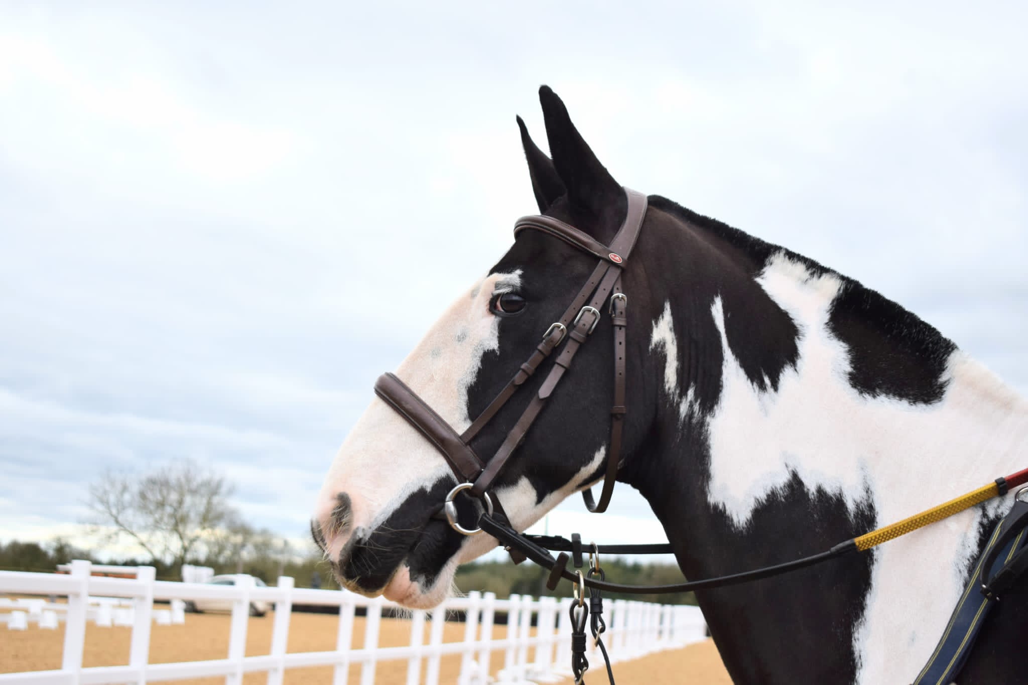 HAF Programme at I-Pegasus CIC block mentored by I-Pegasus CIC