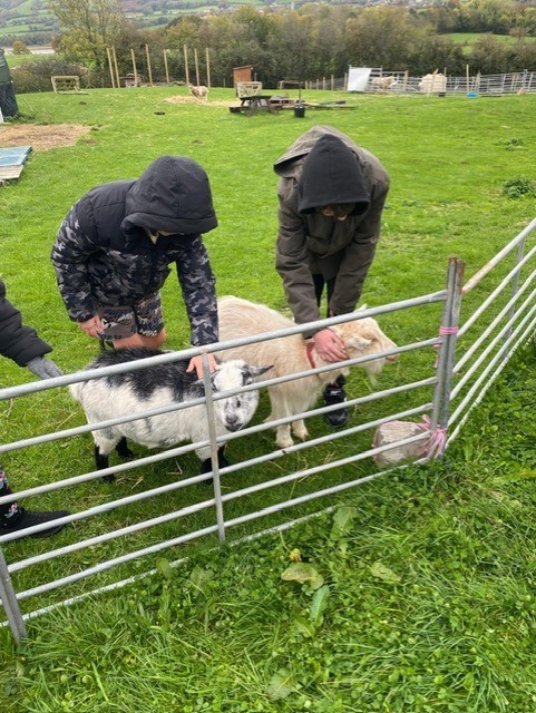 Summer Holiday activity days - image 13