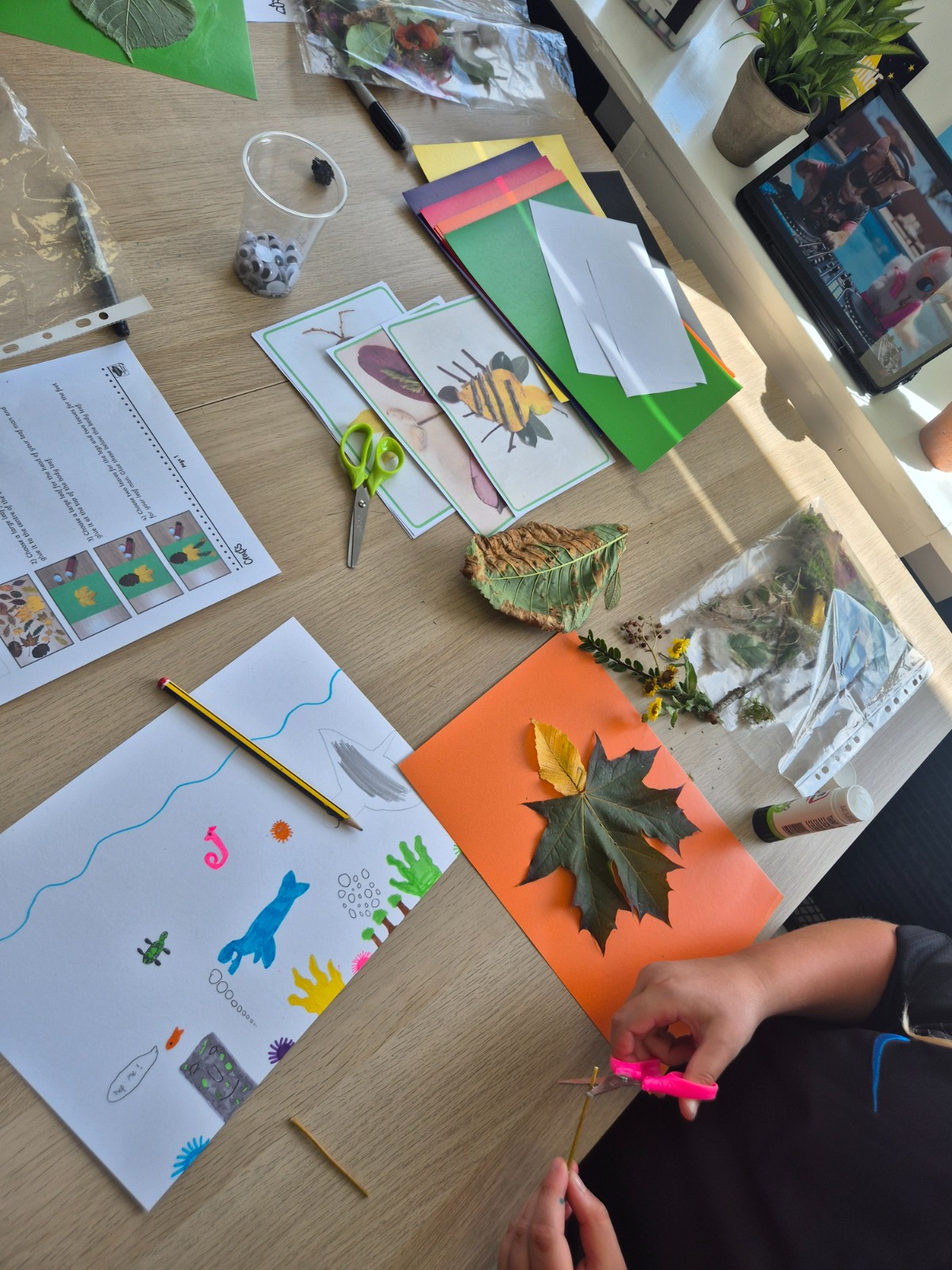 Wednesday Home Ed - Ages 7 - 11 years block mentored by Study Space Academy