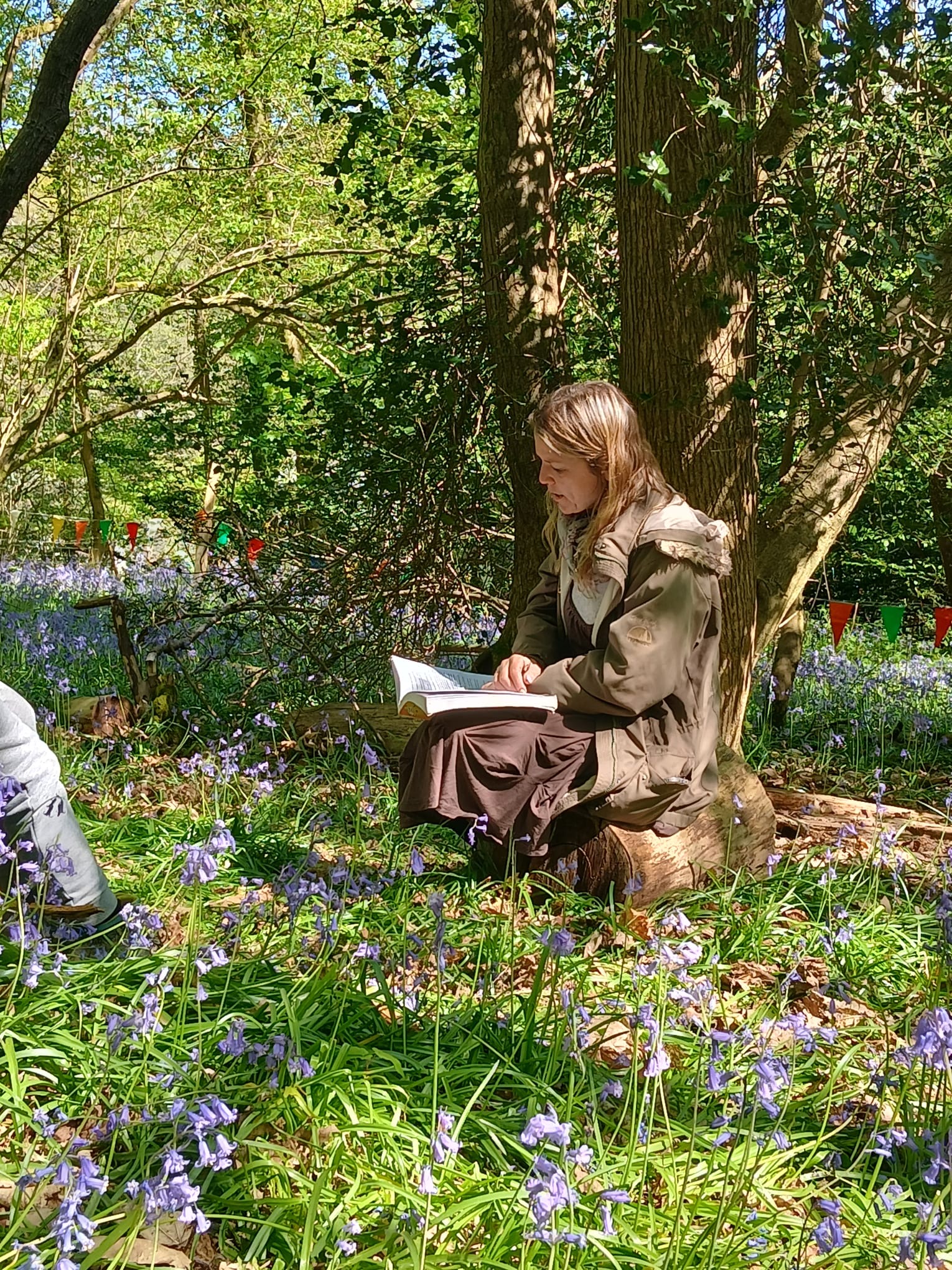 Lymley Forest School - image 3
