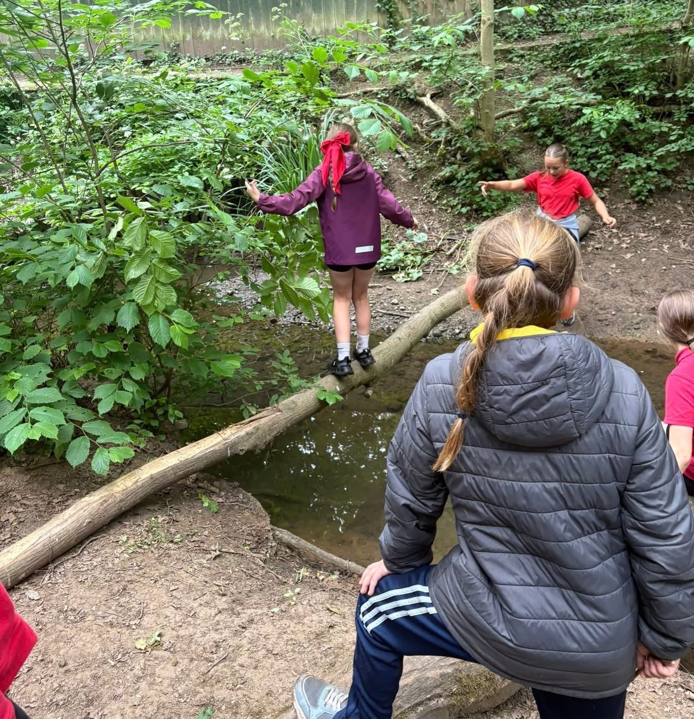 Fairydell Trip - image 2