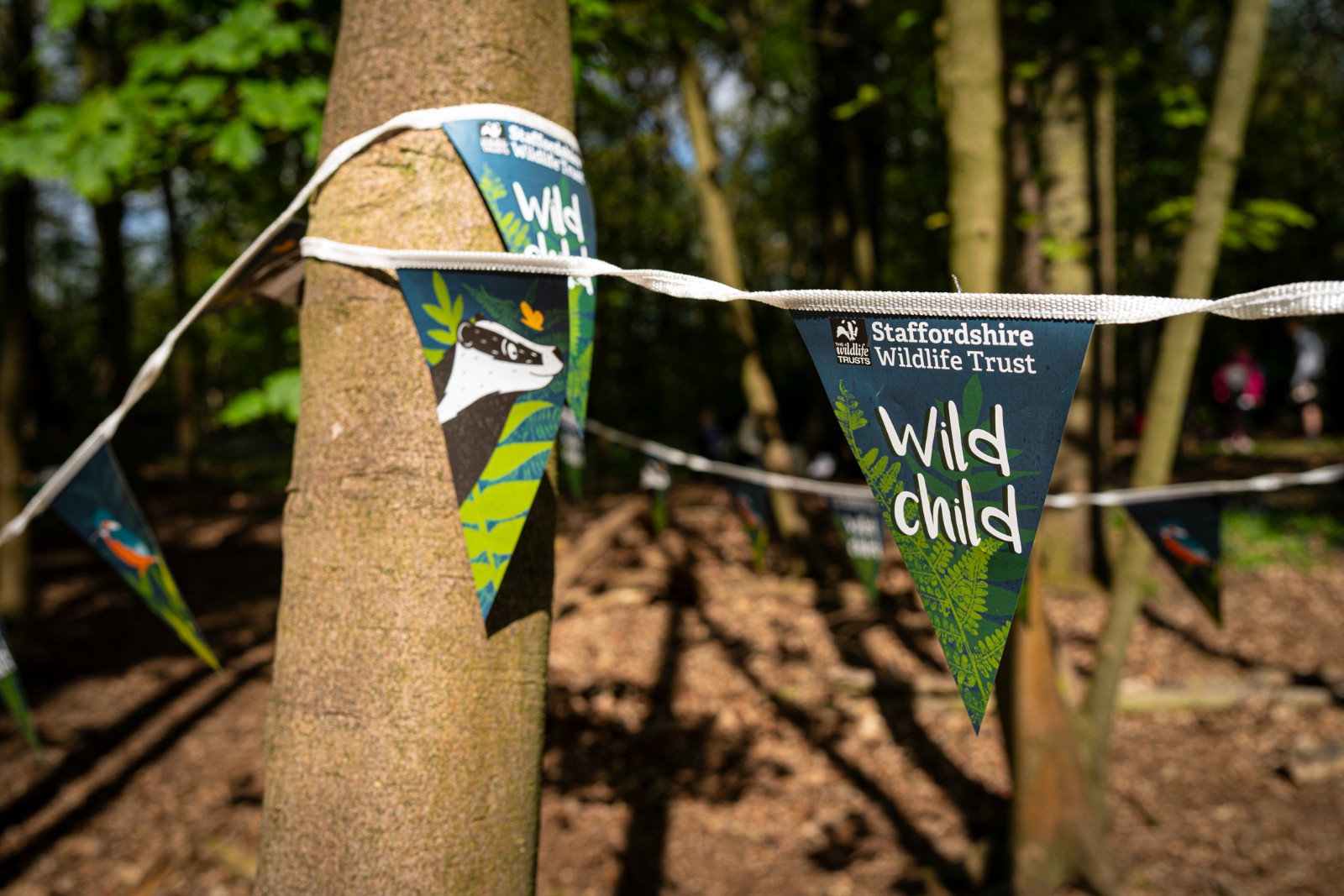 Staffs Wildlife- Wildlife Watch Owls Special - image 4