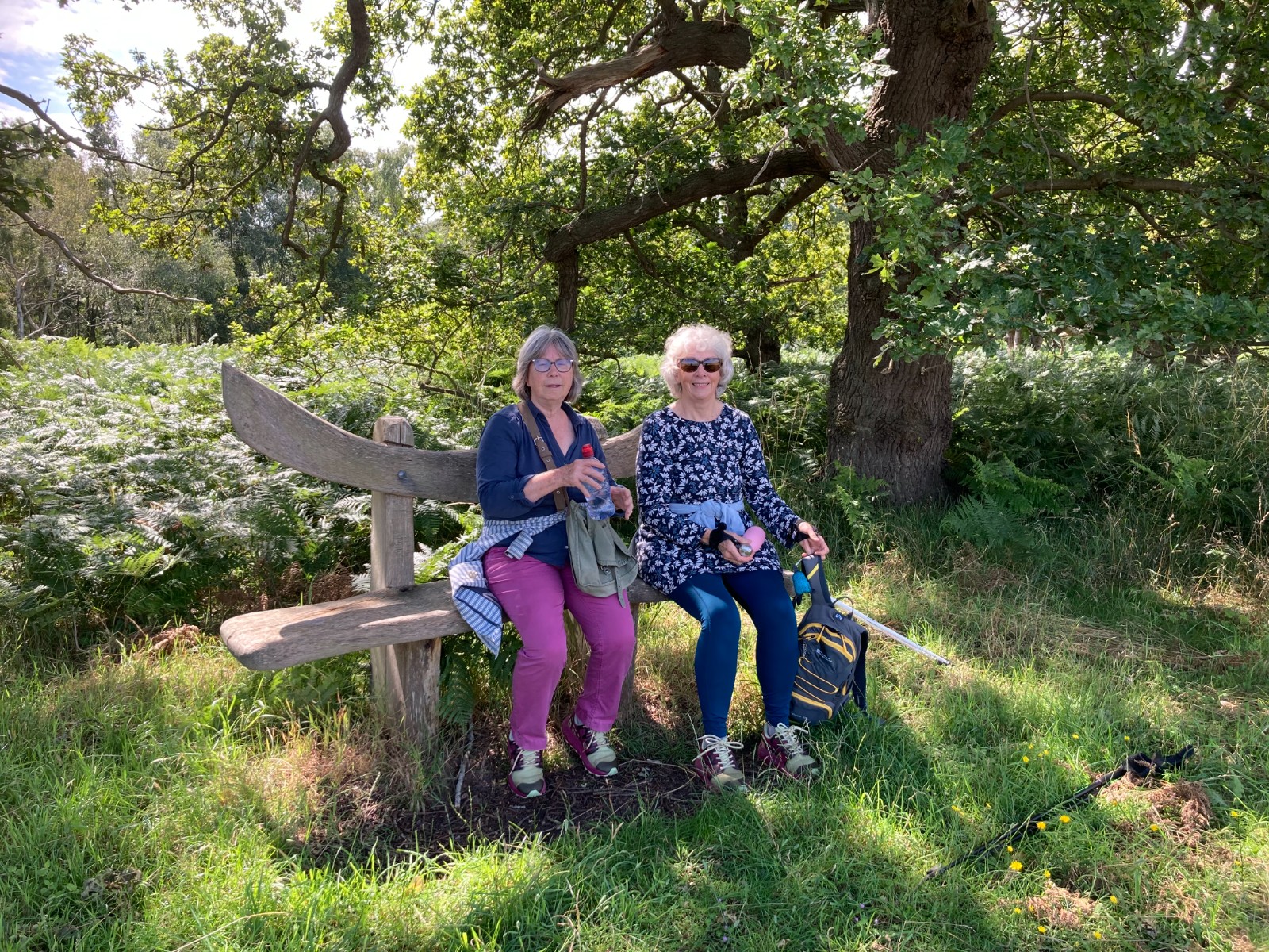 Mindful Nordic Walking and Forest Bathing - image 3