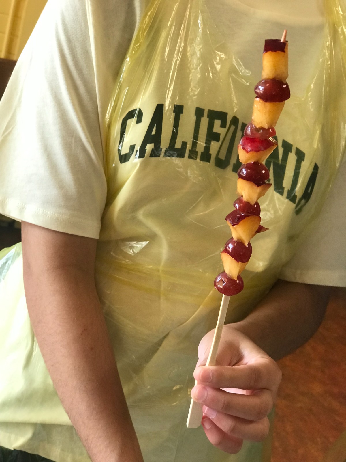 TLC Summer HAF Activities 2026 - image 24
