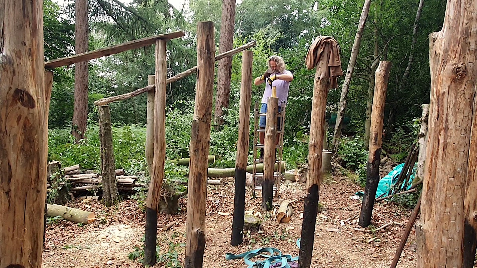 Woodland Management ~ Volunteer Action Days - image 8