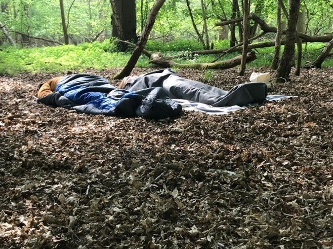 Thornham Walks Forest Bathing - image 24