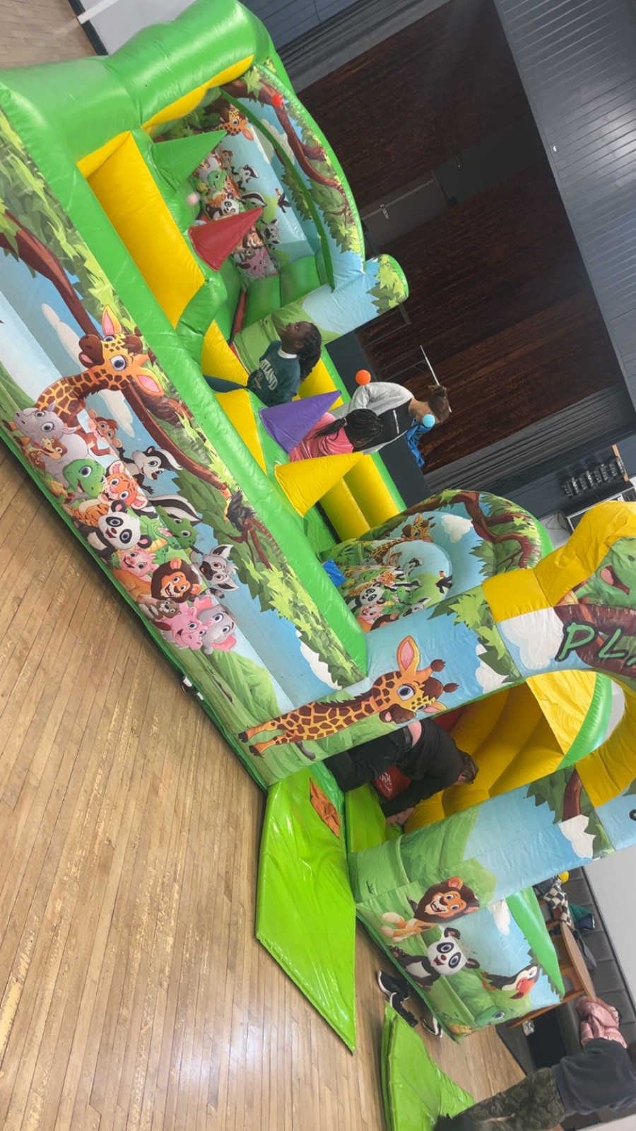 Garden Project, Inflatables...FUN! - image 8