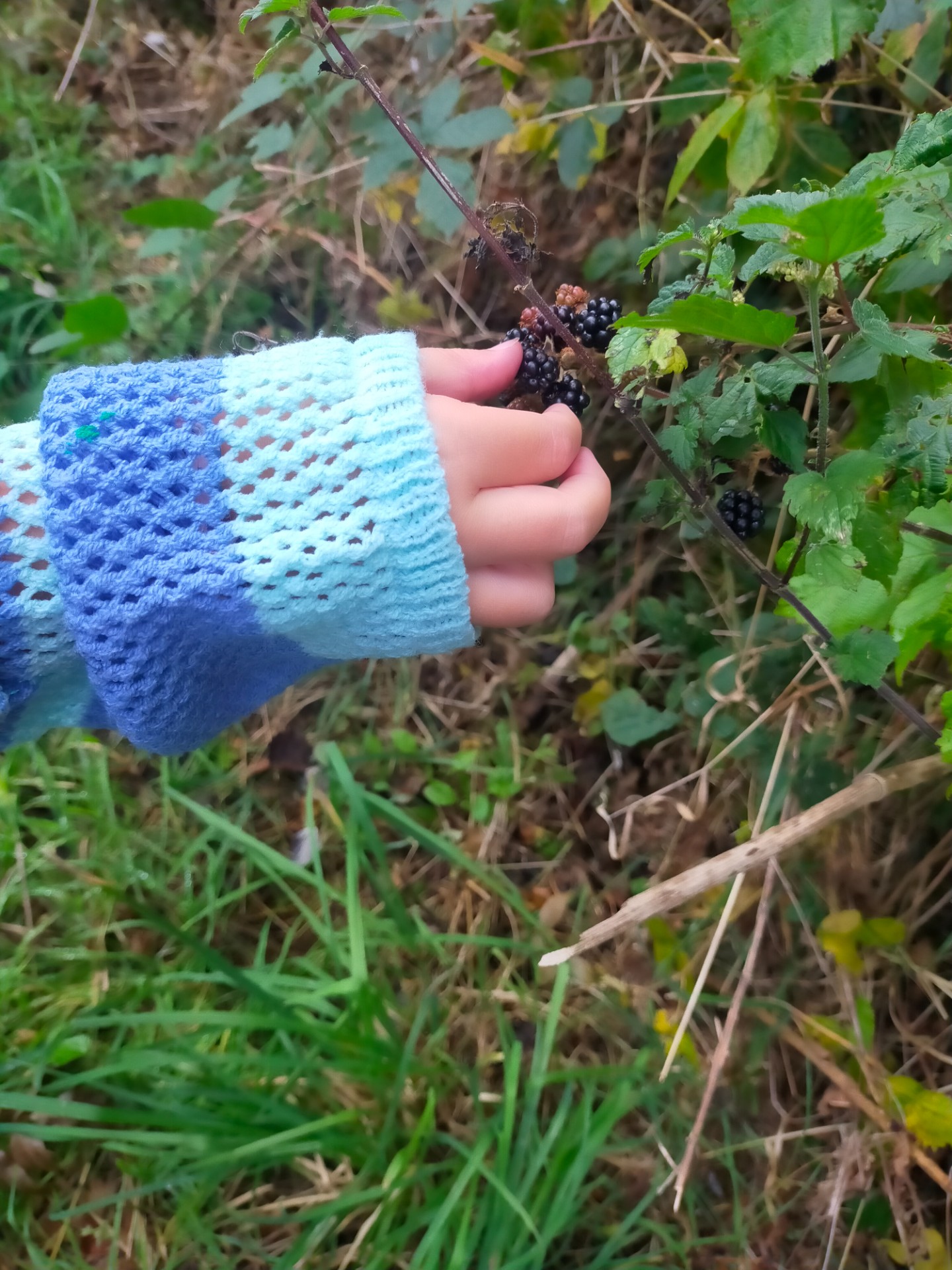 February Half Term HAF Club - image 6