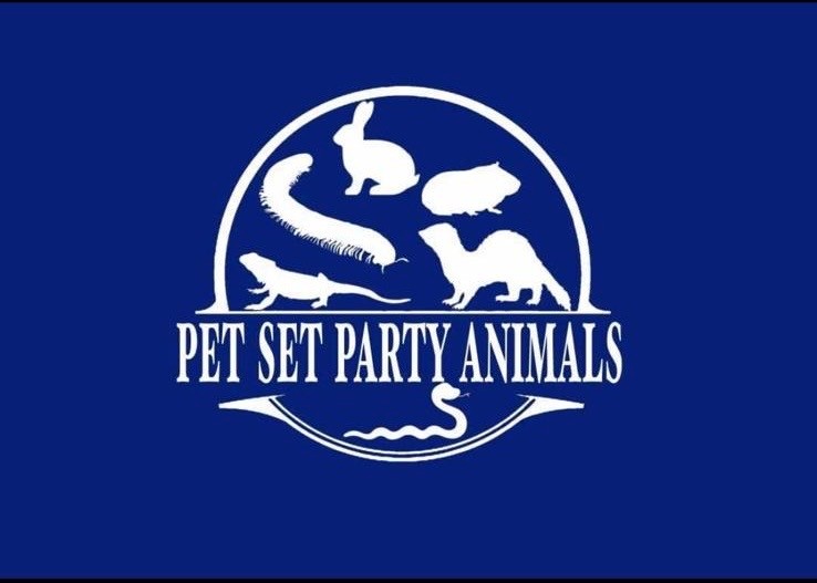 Animal Encounter, Crafts, Nature Camp - image 2