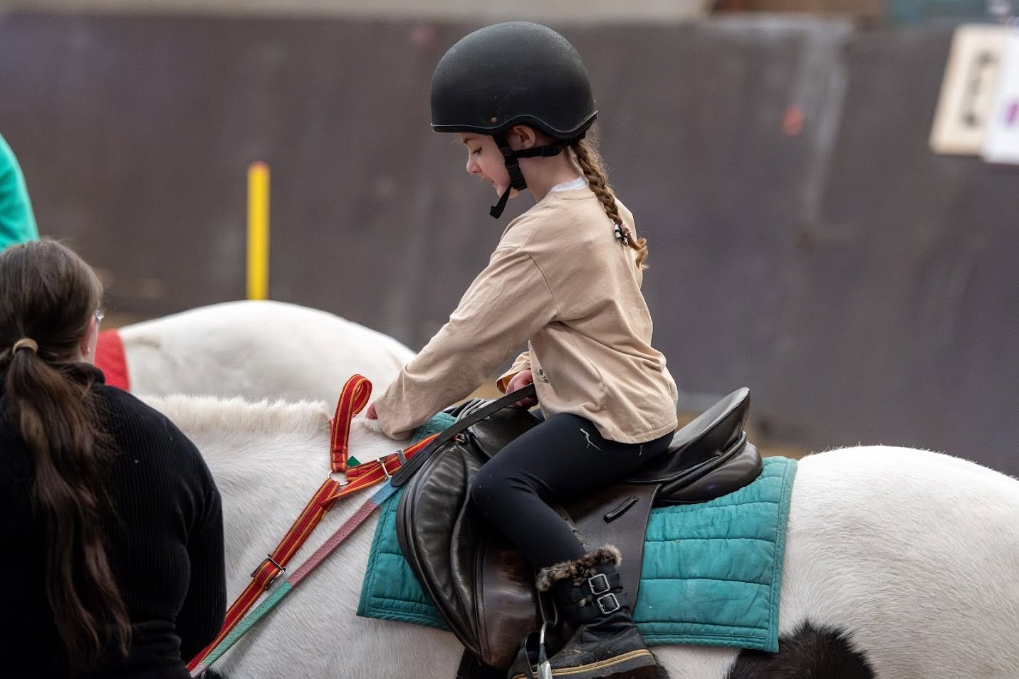 S.E.N.D OWN A PONY FOR A DAY! - image 5