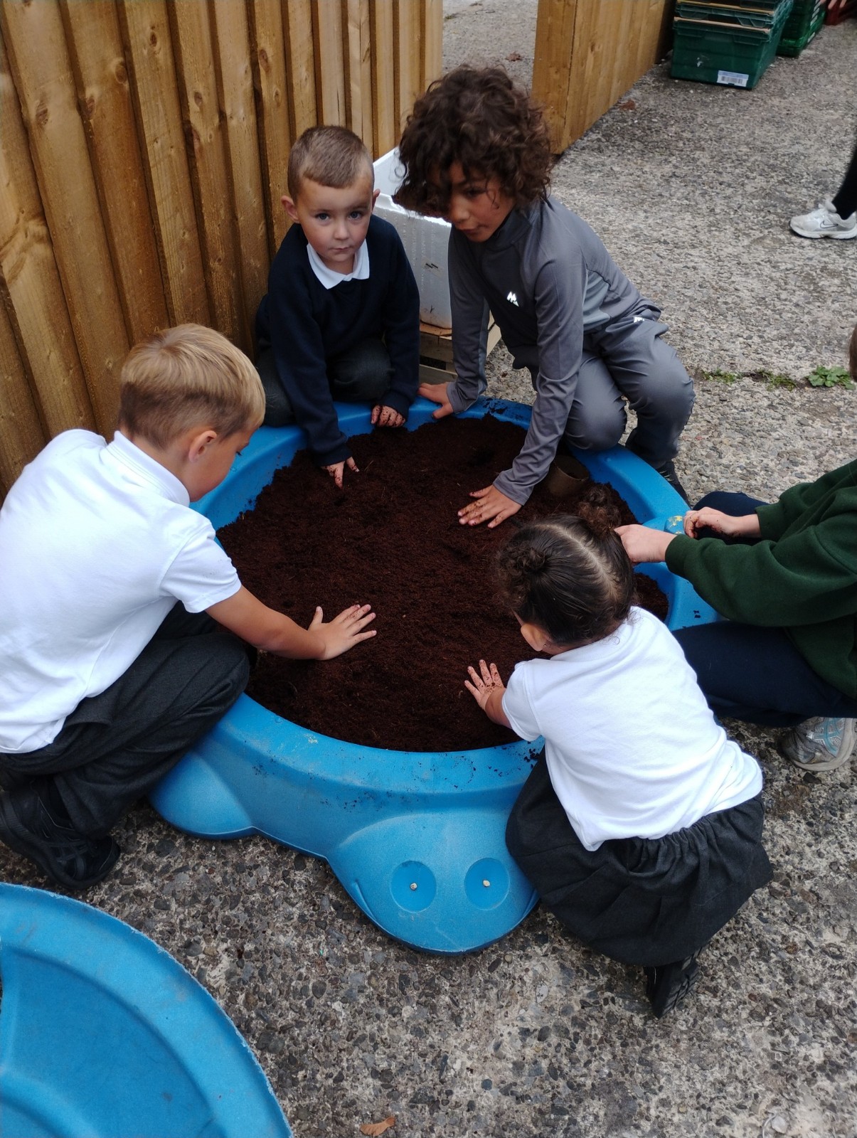 D Hub Holiday Adventures - image 10