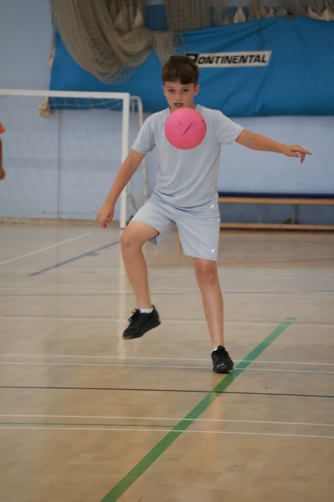 FIT and FED - Dearne - image 4