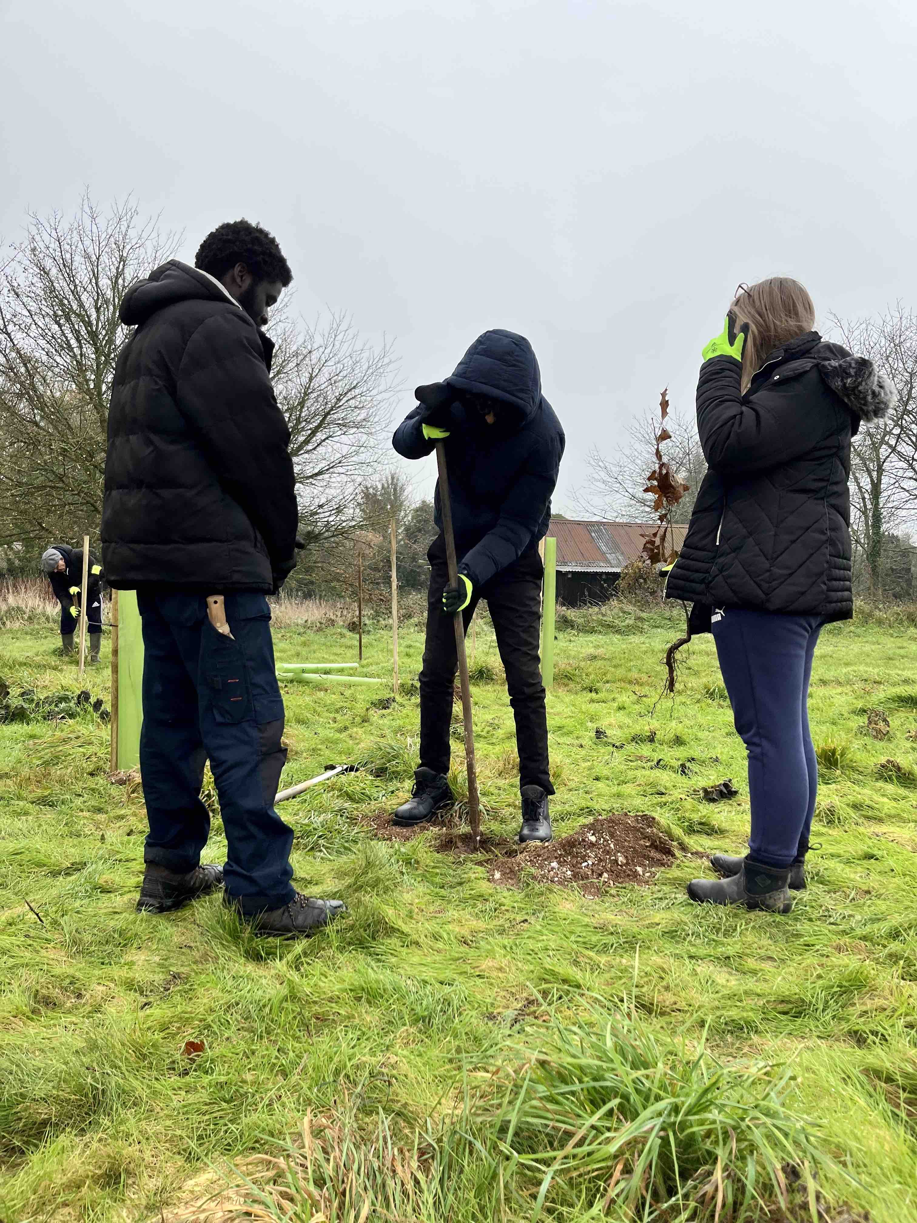 Greenford Library Community Garden - image 5