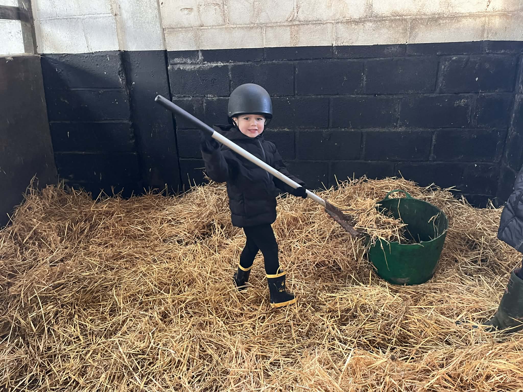 Horse & Pony Experience Day @Howden Equestrian - image 8