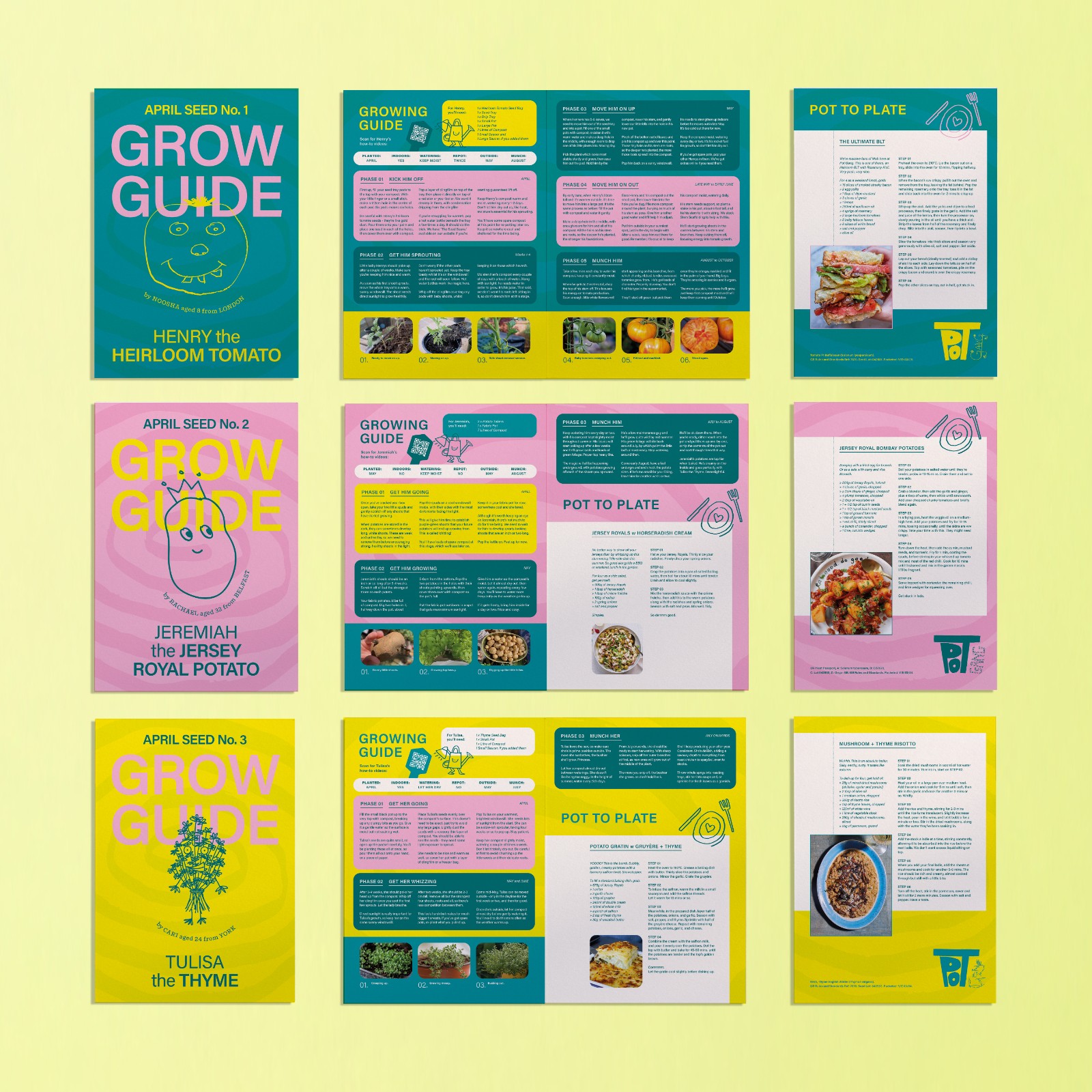 VEG + HERB GROWING KIT - image 20