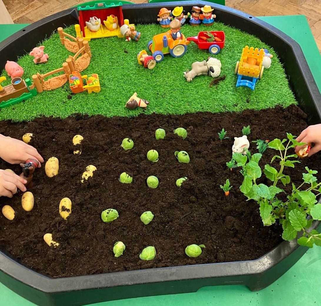 HSF Care Club - image 6