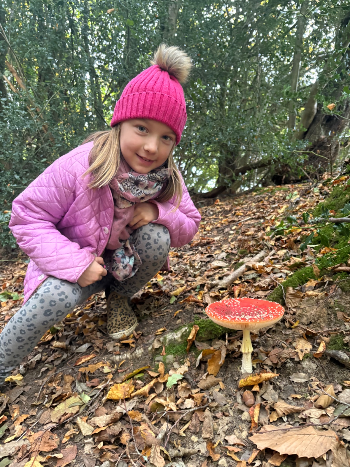 Fungi, Fire and Family Fun! - image 4