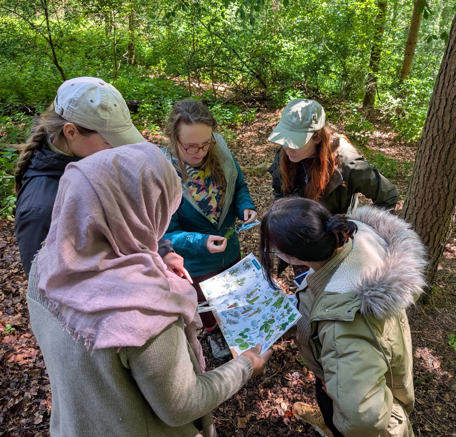 Level 3 Forest School Leader Training (ITC) - image 6