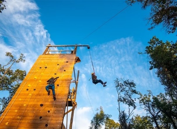 Forest Facility Primary Session - image 8
