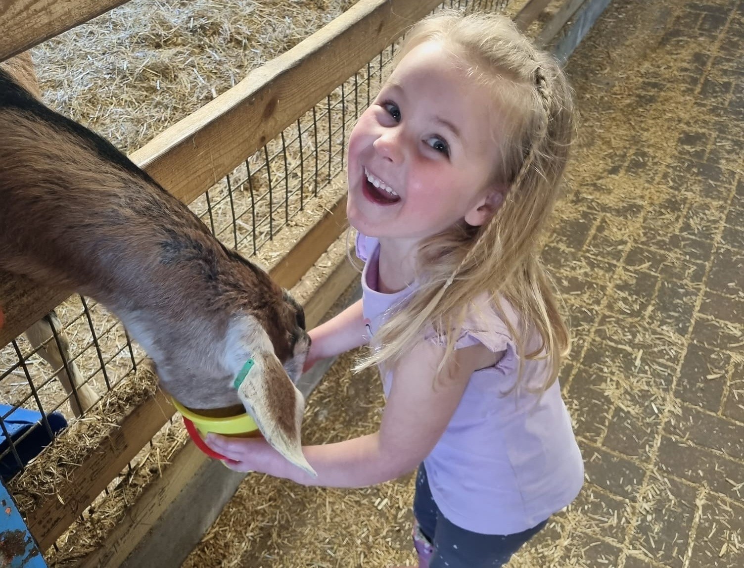 EHCP Farm and Play Barn Day Out - image 2