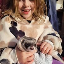 Holiday animal club (ECHP+) ✨ - image 3