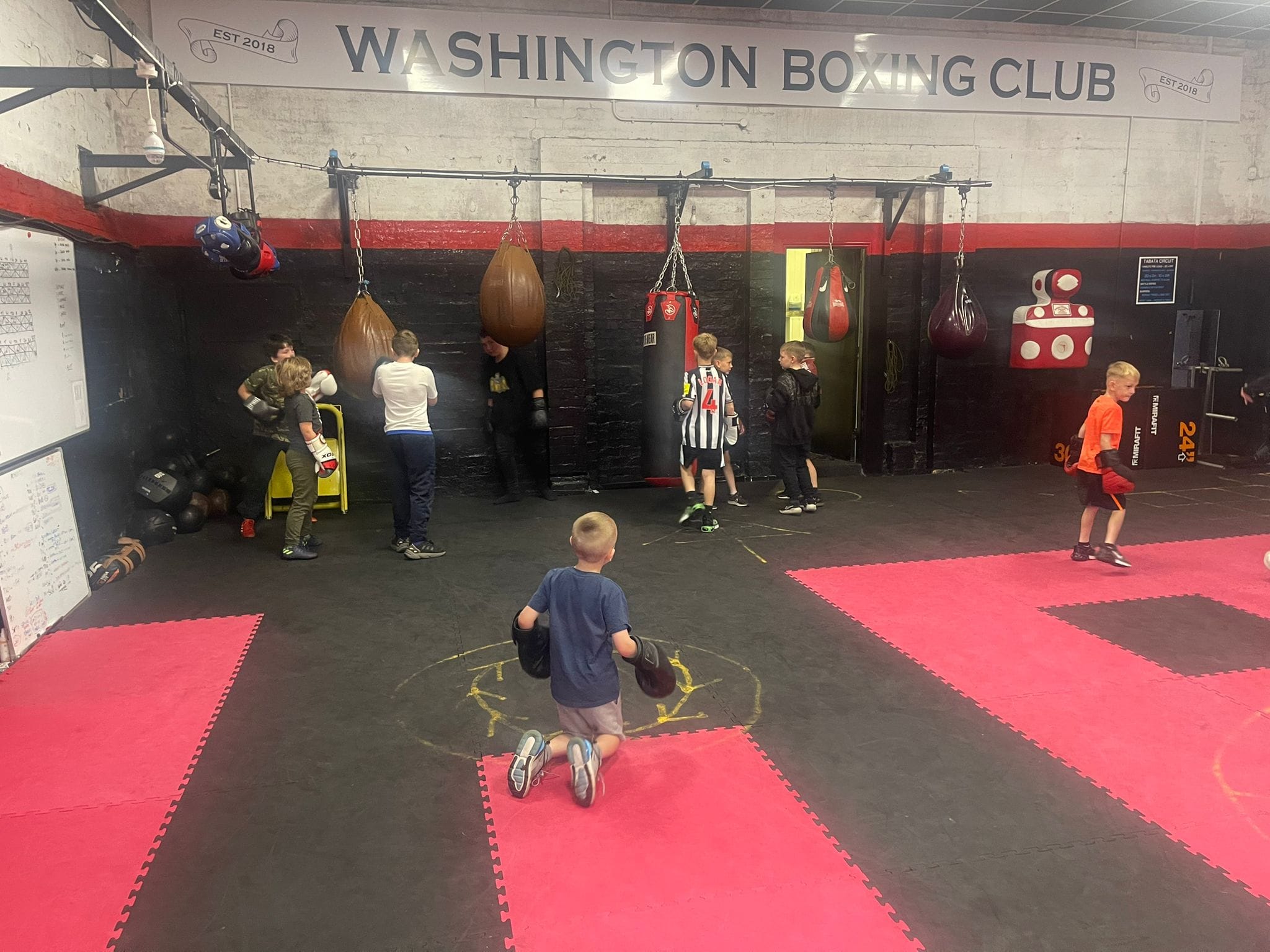 SK Washington Boxing Club - image 3