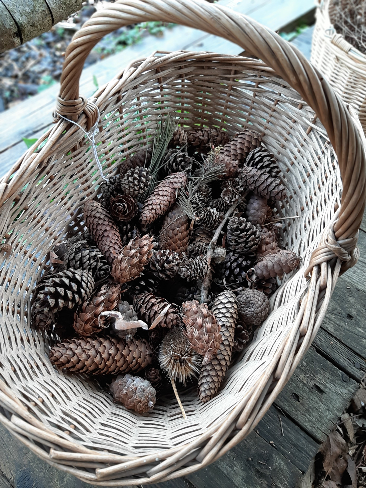Natural Winter Decoration Making Workshop - image 5