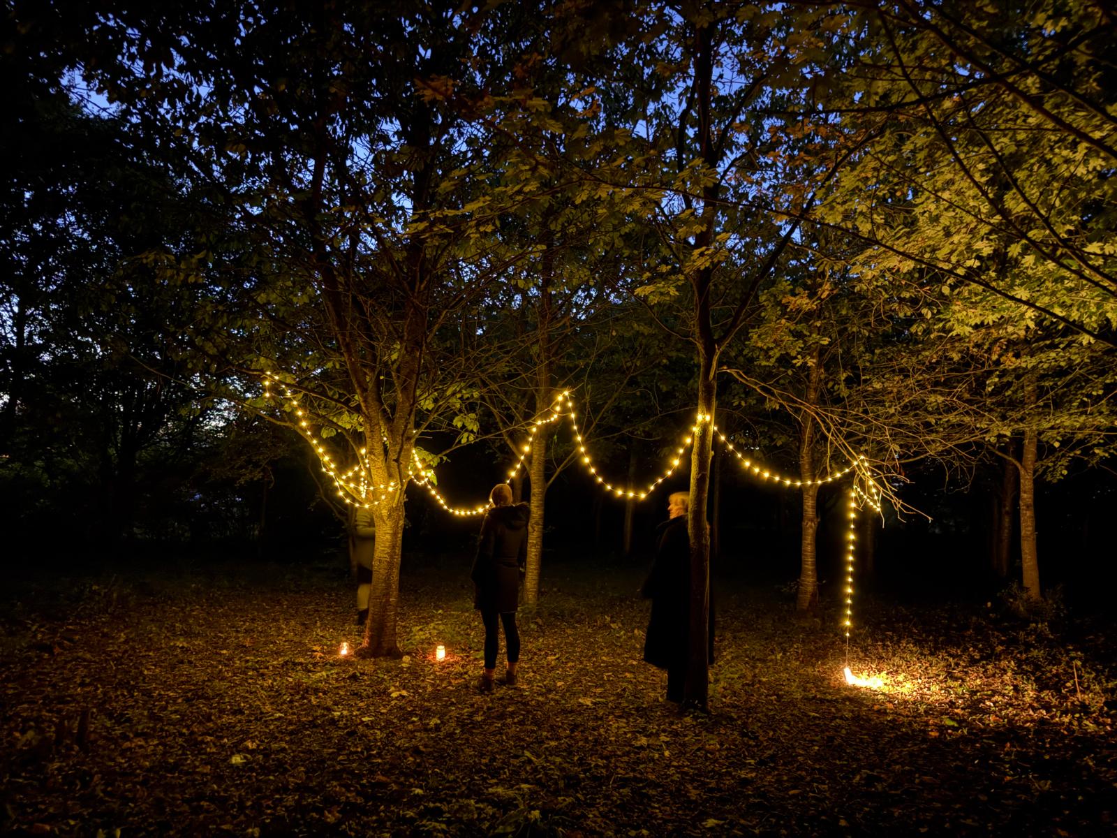 Thornham Walks Forest Bathing - image 15