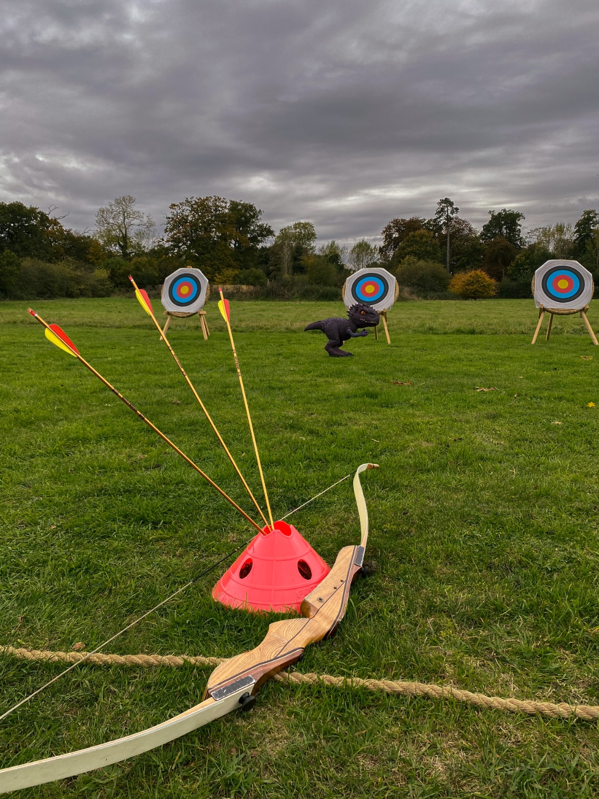Target Sport and Bushcraft Activity Day - image 2