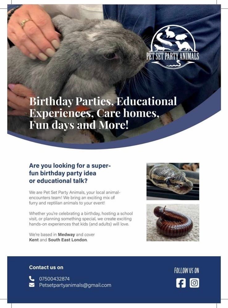 Animal Encounter, Crafts, Nature Camp - image 6