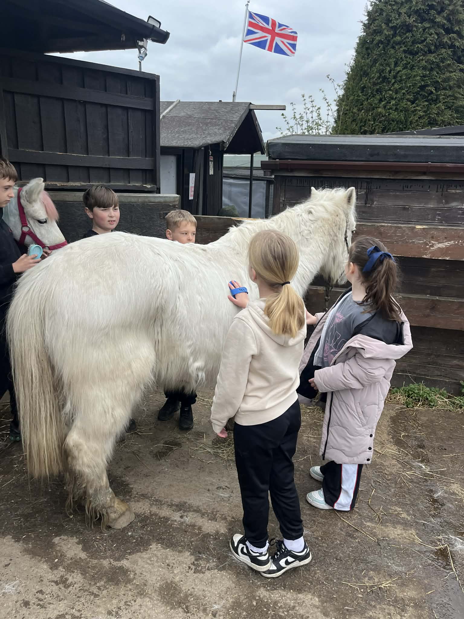 Zoe's Party Animals- Holiday club- Inc HAF - image 9